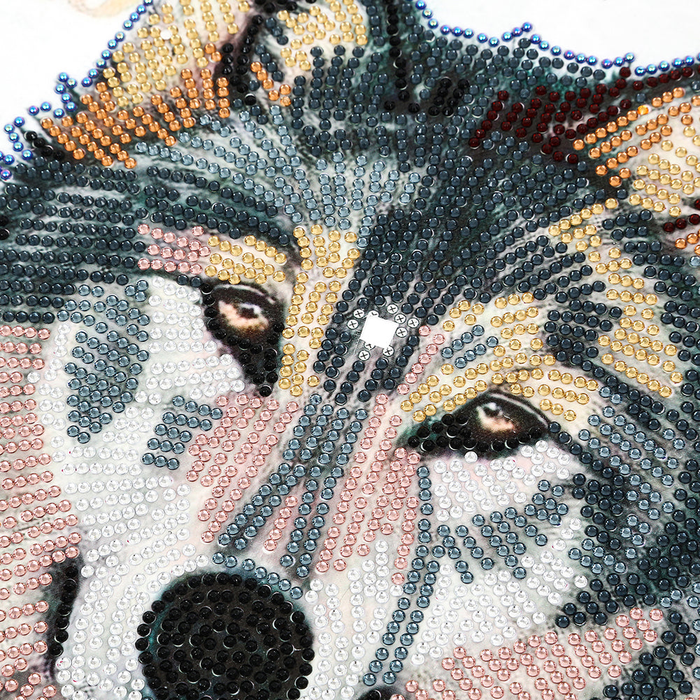 Wolf Clock Mosaic Part Special Shape Diamond DIY Painting Kit Gifts